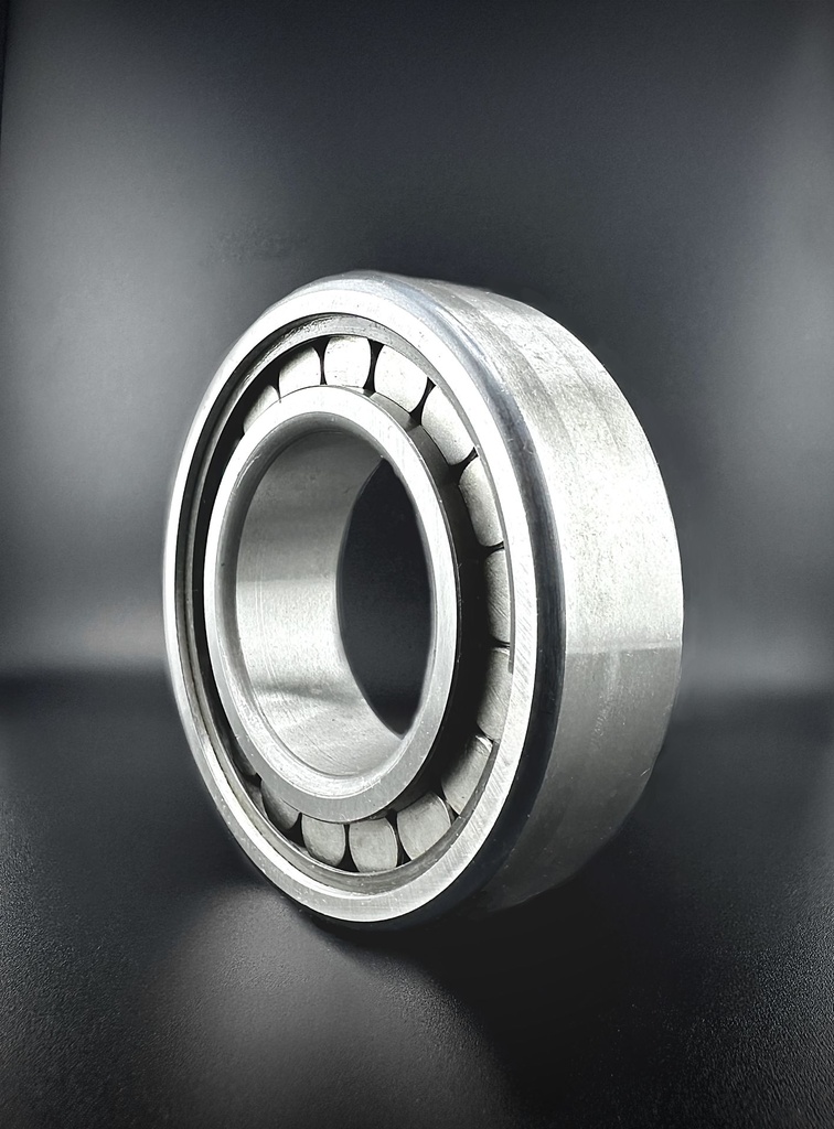 SKF NU310  ECM Zylinderrollenlager (50x110x27)