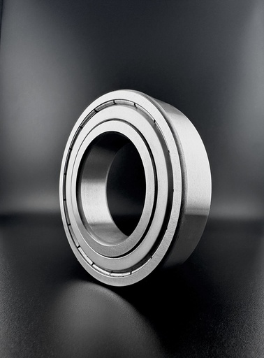 SKF 6005 -2ZNR Kugellager (25x47x12)