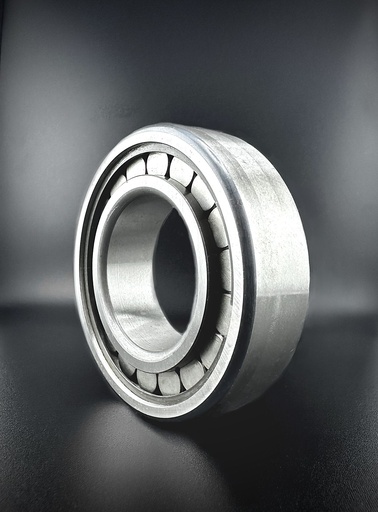 SKF NUP209  ECP Zylinderrollenlager (45x85x19)