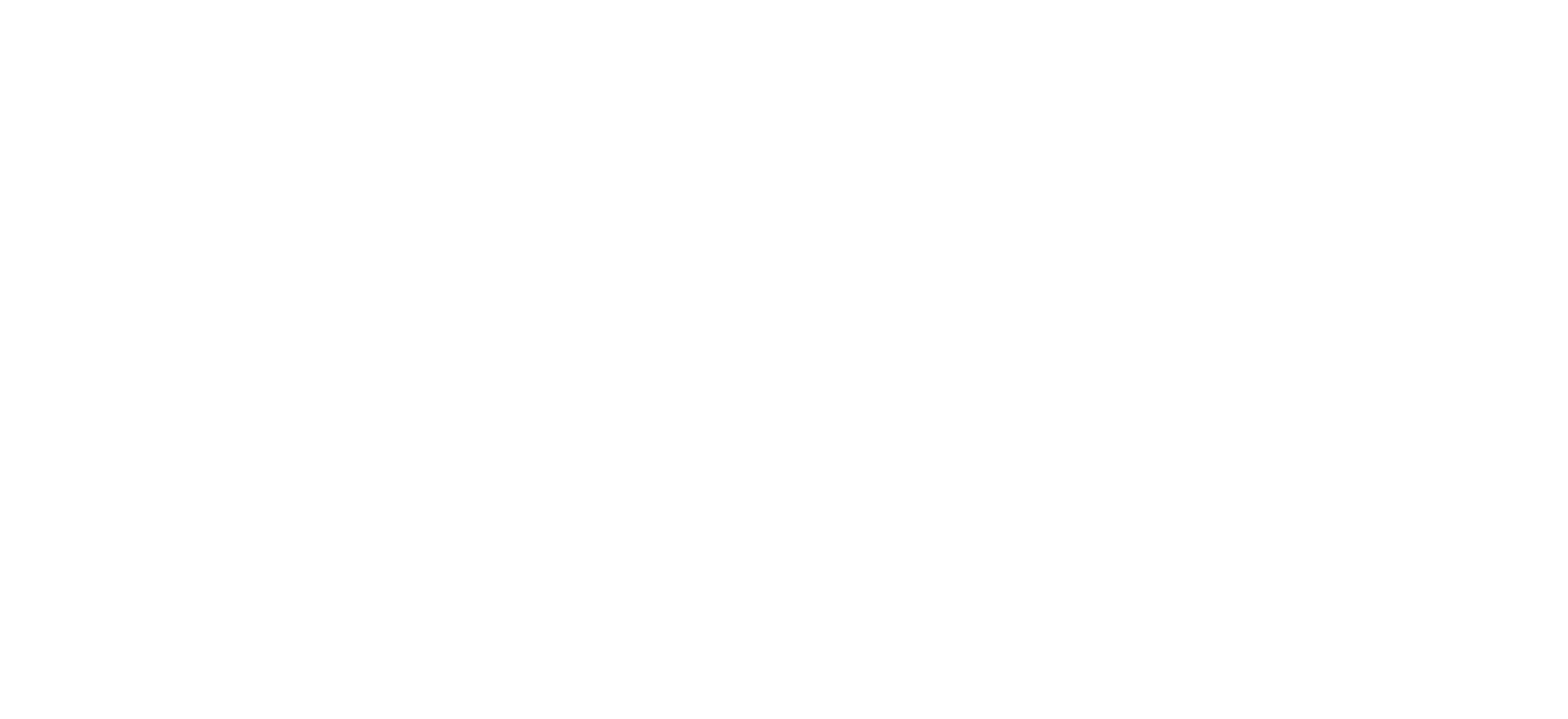 Euro Bearing